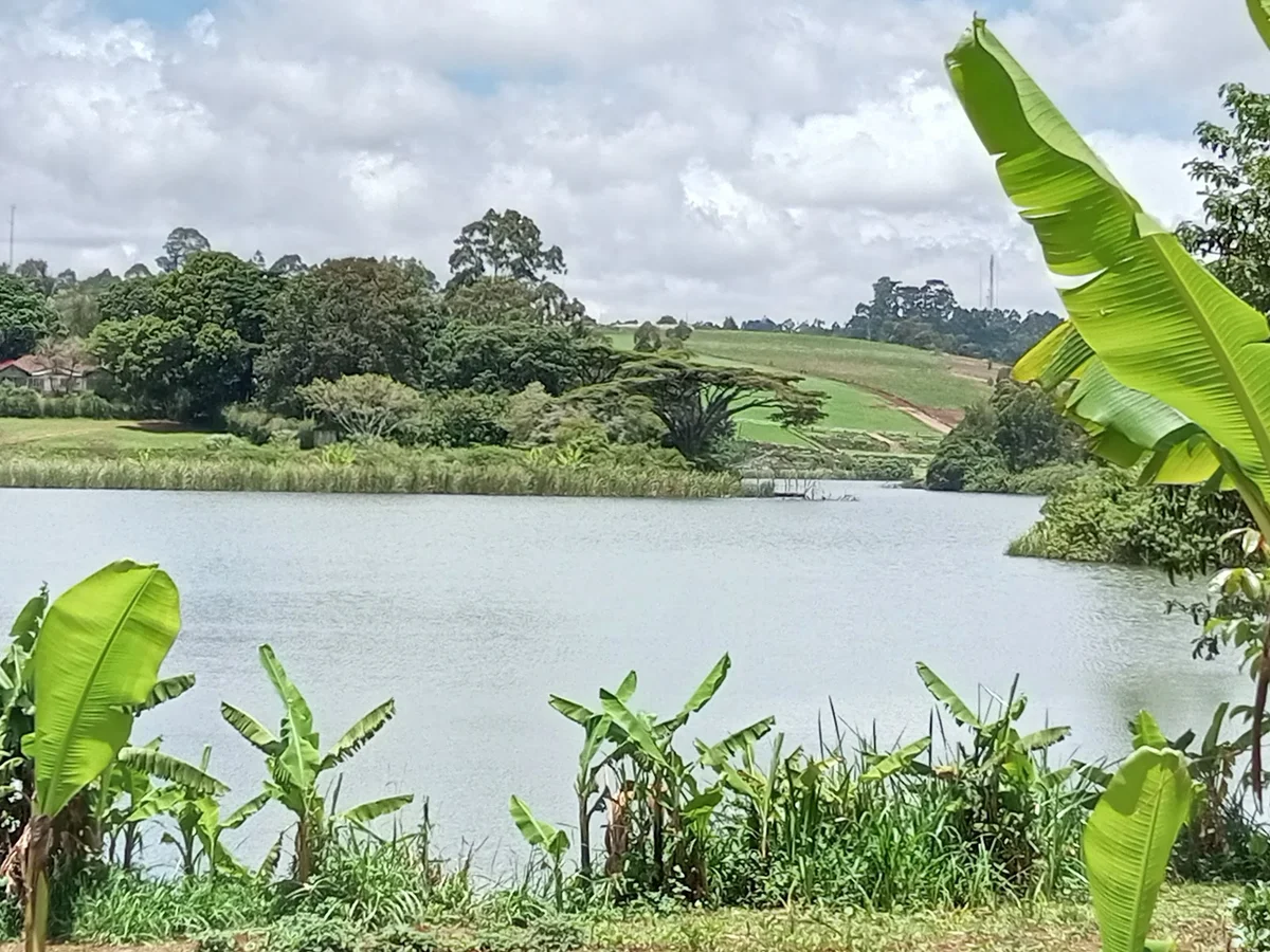 Lake House Tigoni in Riara Ridge - Ask AI | mindtrip