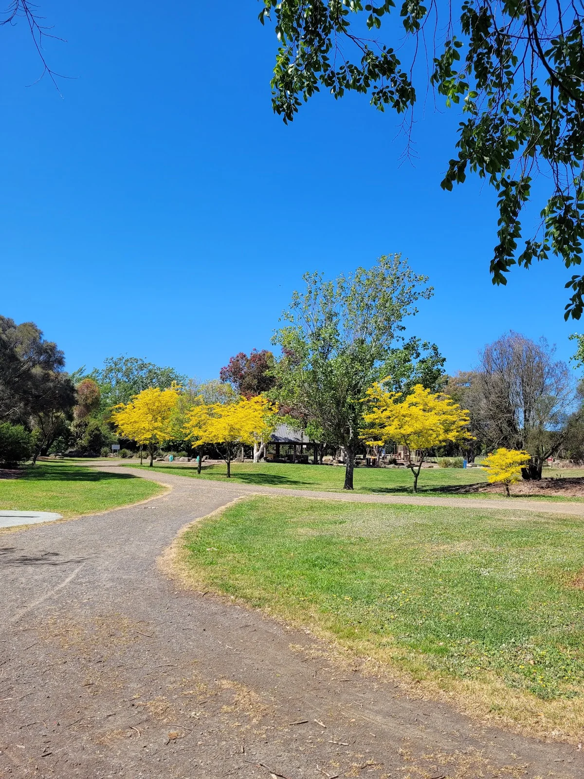 Heritage Forest in Invermay, Tasmania - Ask AI | mindtrip