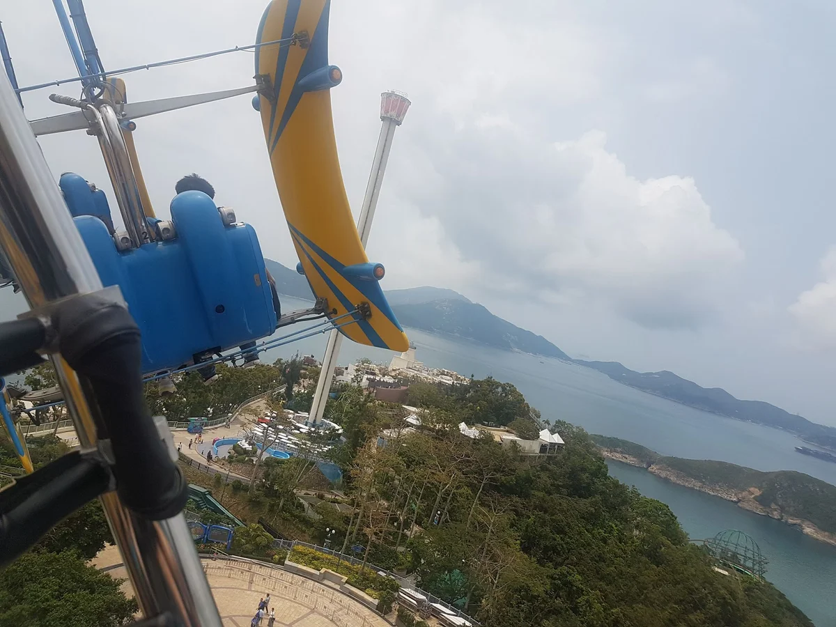 Whirly Bird in Hong Kong | What to Know Before You Go