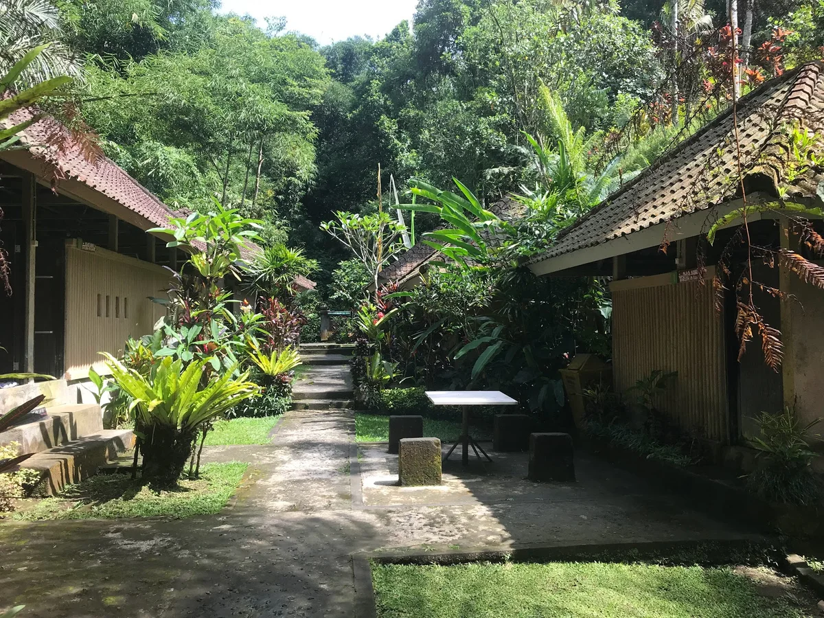 Air Panas Angseri in Angsri, Bali | Ask Anything