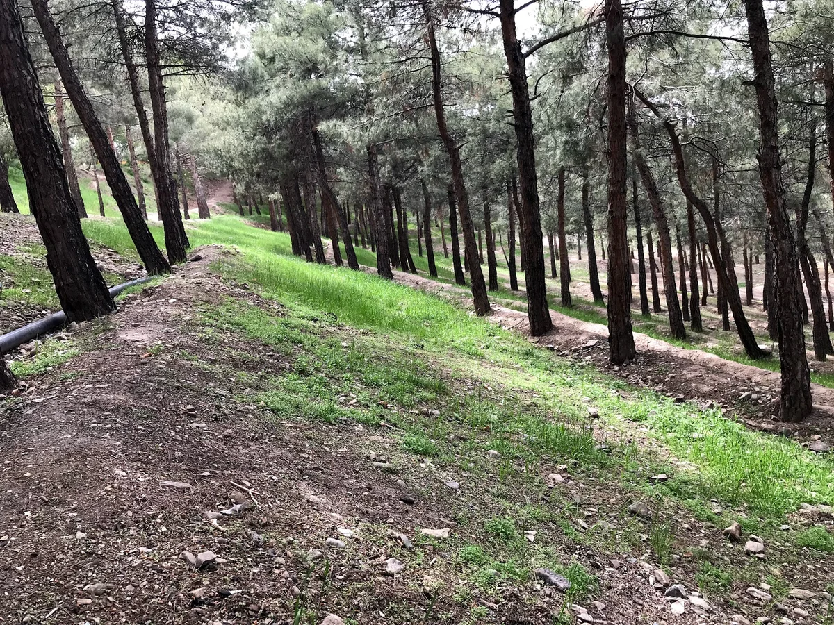 Chitgar Forest Park in Tehran | Ask Anything