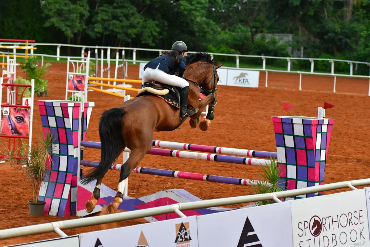 Embassy International Riding School - Ask AI | mindtrip