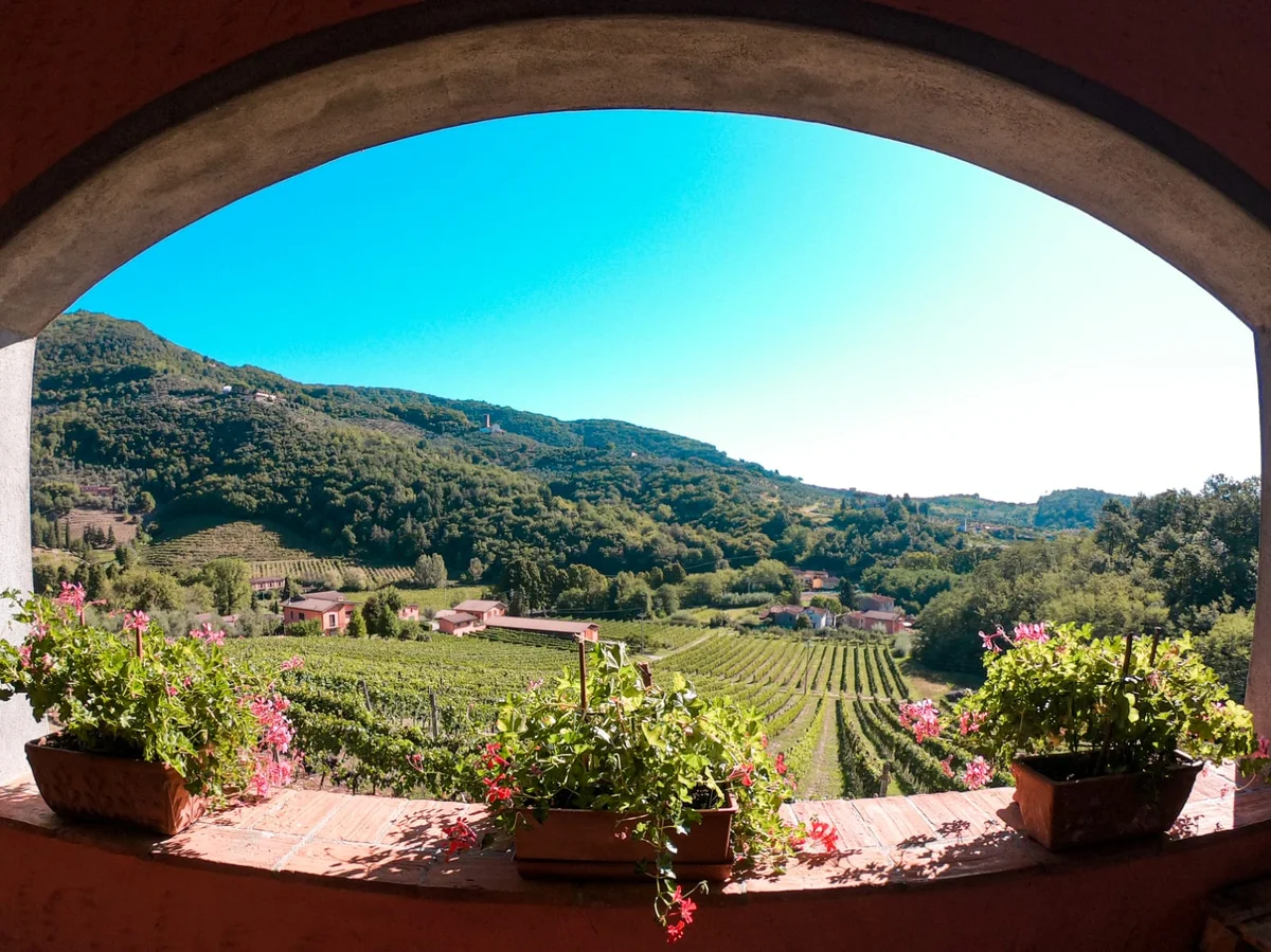Greo winery in Lucca, Toscana | What to Know Before You Go