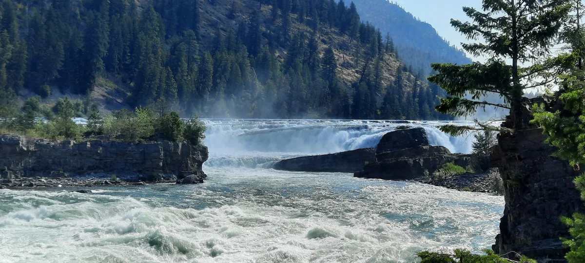 Kootenay River in Wasa, British Columbia - Ask AI | mindtrip