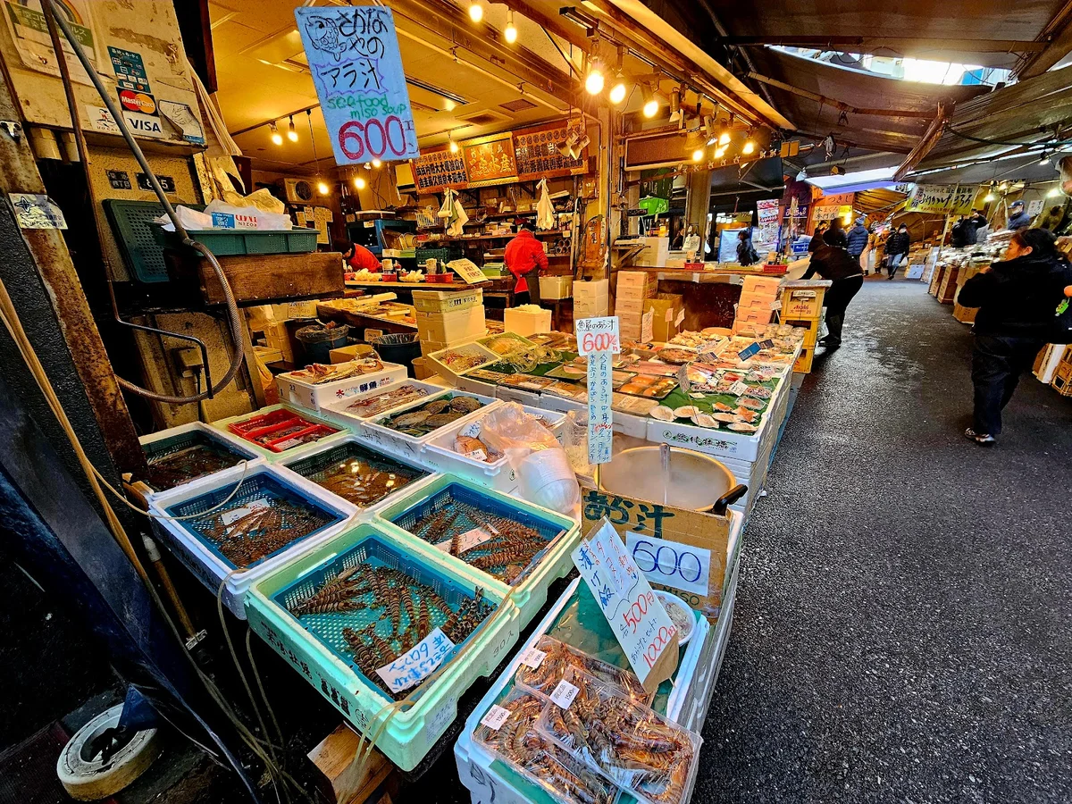 Market・２２×２０×１５・ ・ ・Fish