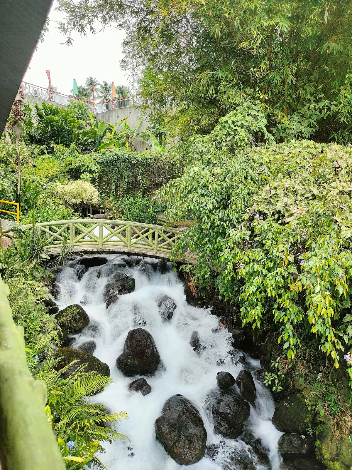Timoga Spring Pool in Linamon | What to Know Before You Go
