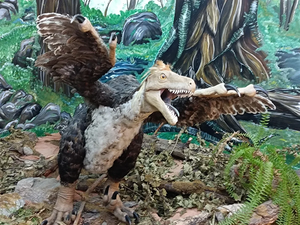 Administration Dinosaurs Geopark Haţeg | Ask Anything
