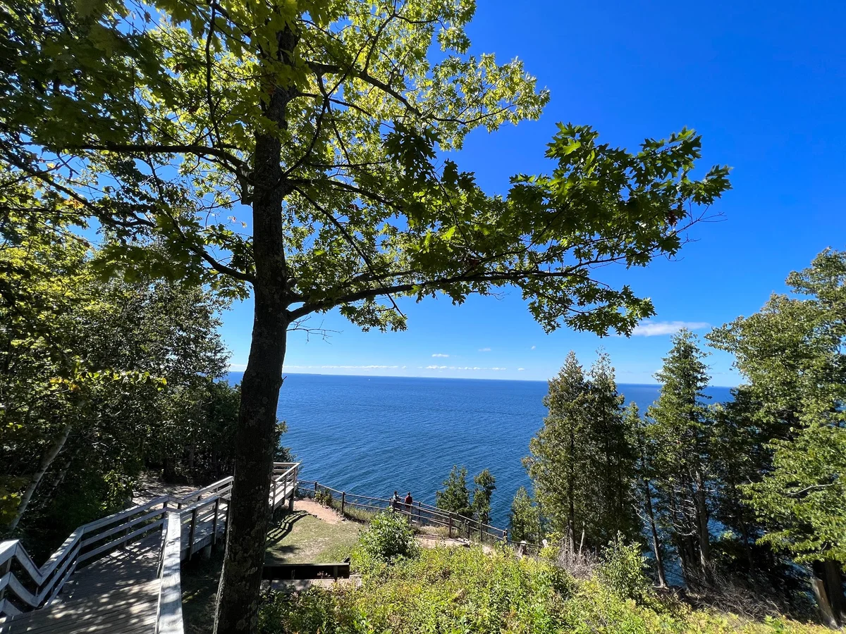 Ellison Bluff State Natural Area - Ask AI | mindtrip