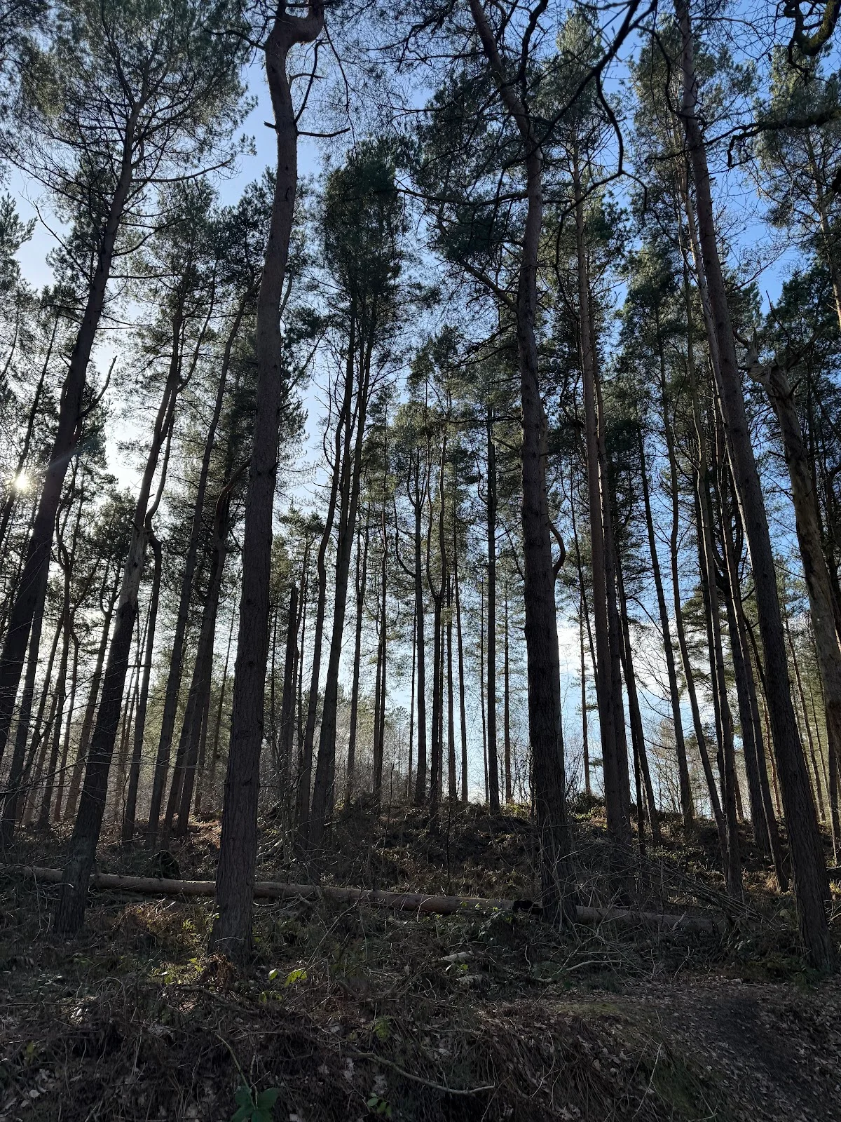 Hatchmere in Norley, England | Ask Anything
