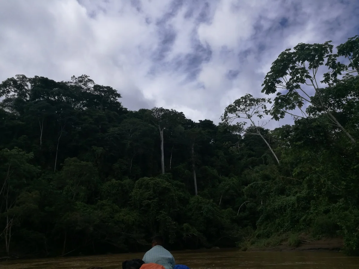 Rio Tuira in Yaviza, Provincia de Darién - Ask AI | mindtrip