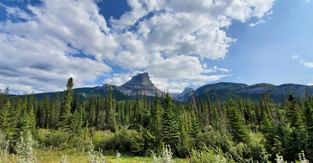 Cache Lake Campground in Hinton, Alberta - Ask AI | mindtrip
