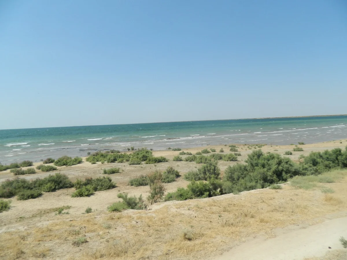 Aydarkul in Jizzax viloyati | What to Know Before You Go