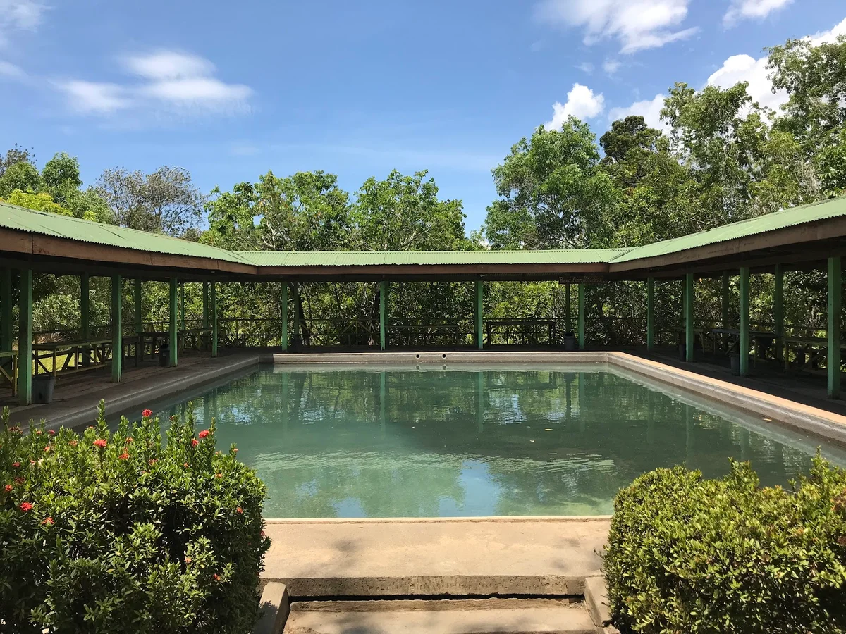 Bato-Bato Hot Spring Resort in Narra - Ask AI | mindtrip