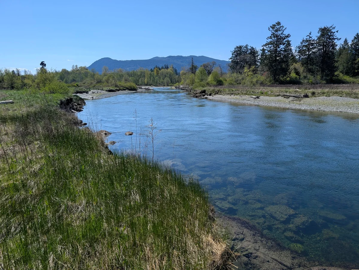 Chemainus River Estuary | What to Know Before You Go