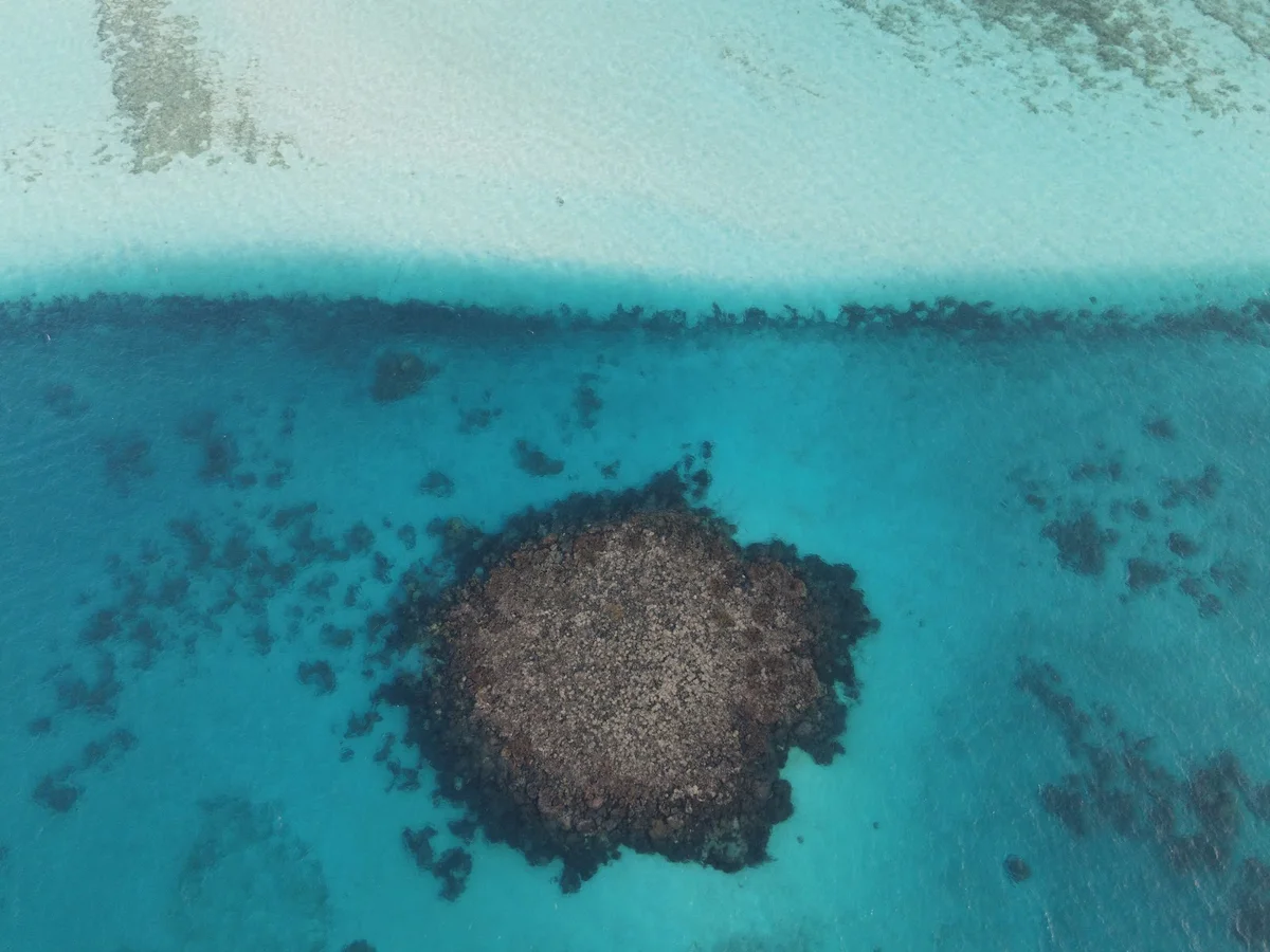 Bodu Ashi in Maldives | Ask Anything