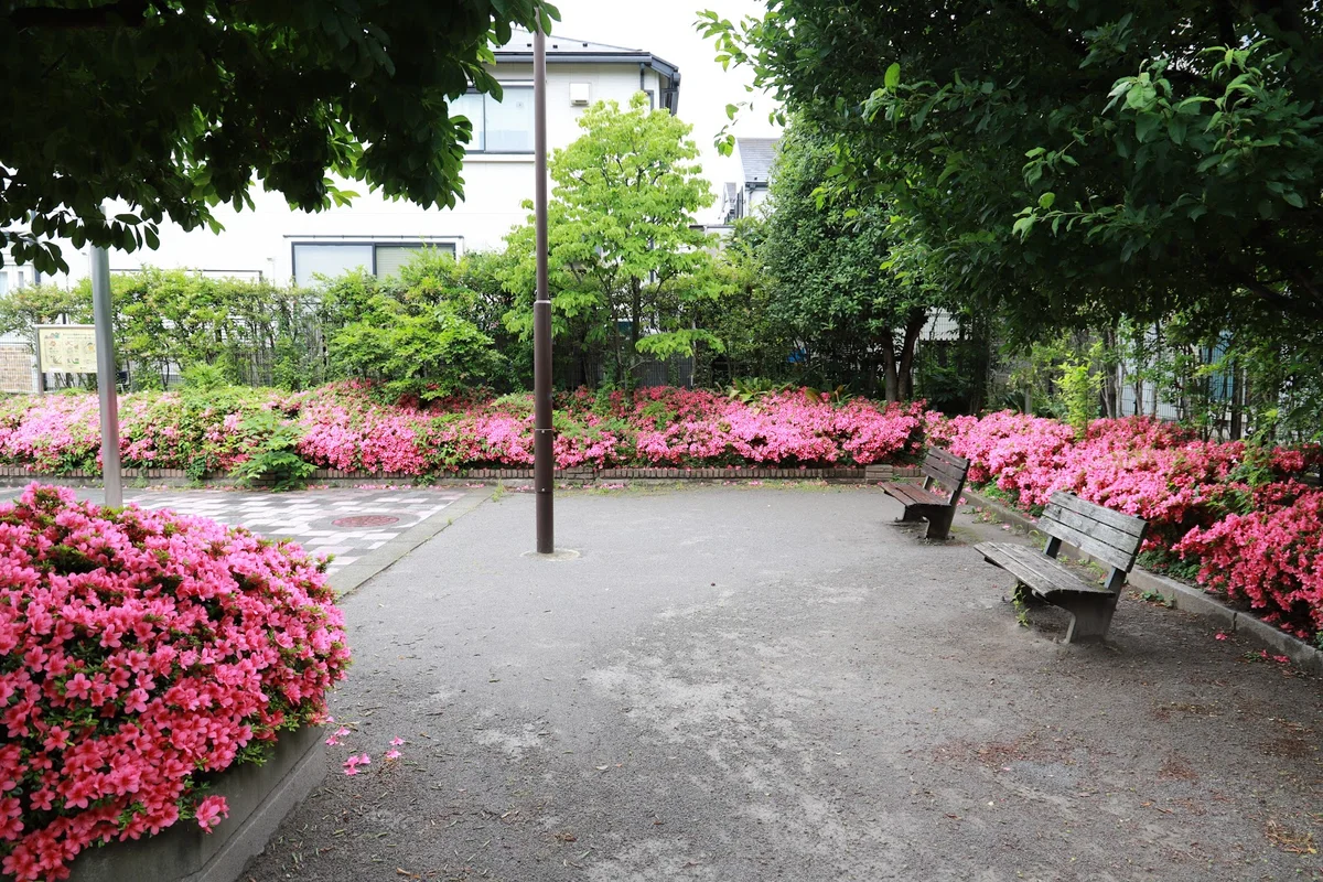 Doremifa Green Space in Toda - Ask AI | mindtrip