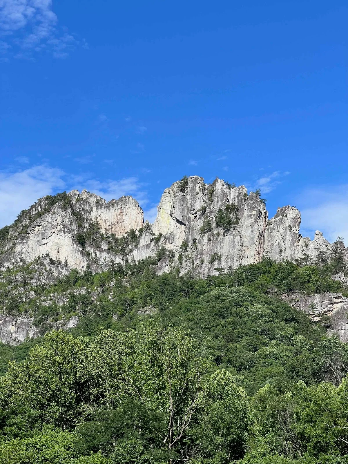 Seneca Rocks Mountain Guides | What to Know Before You Go