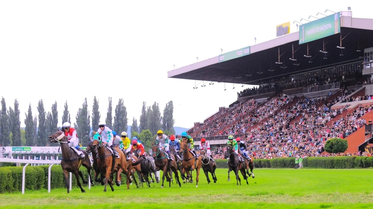 Prague-Velká Chuchle Racecourse in Kosor | Ask Anything