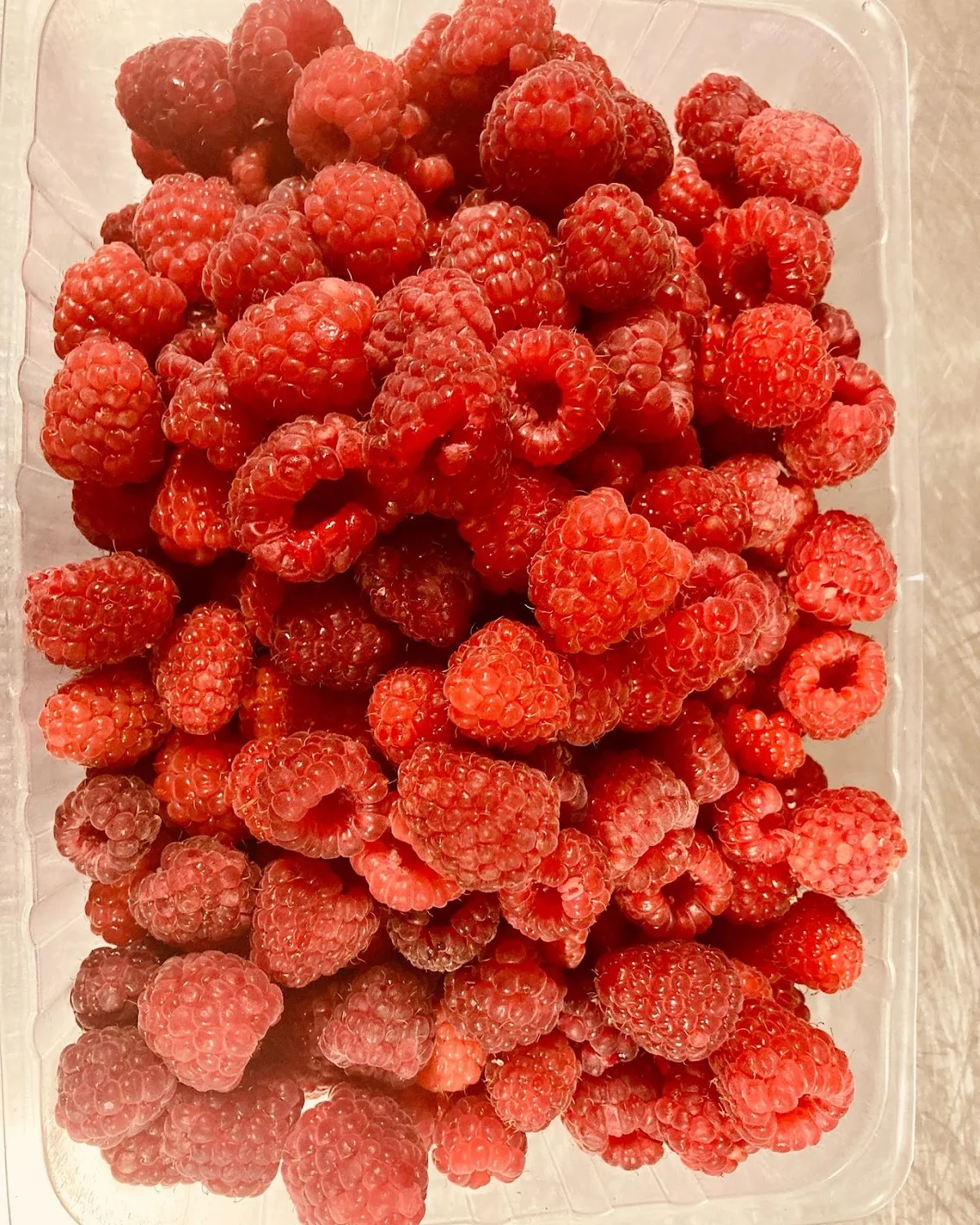 Bruny Island Raspberry Farm | What to Know Before You Go