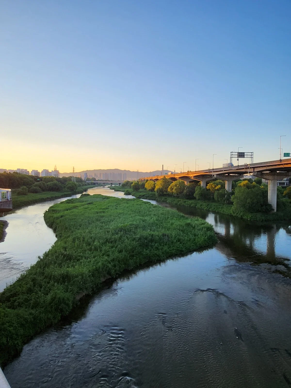 Tancheon Stream in Seoul | Ask Anything
