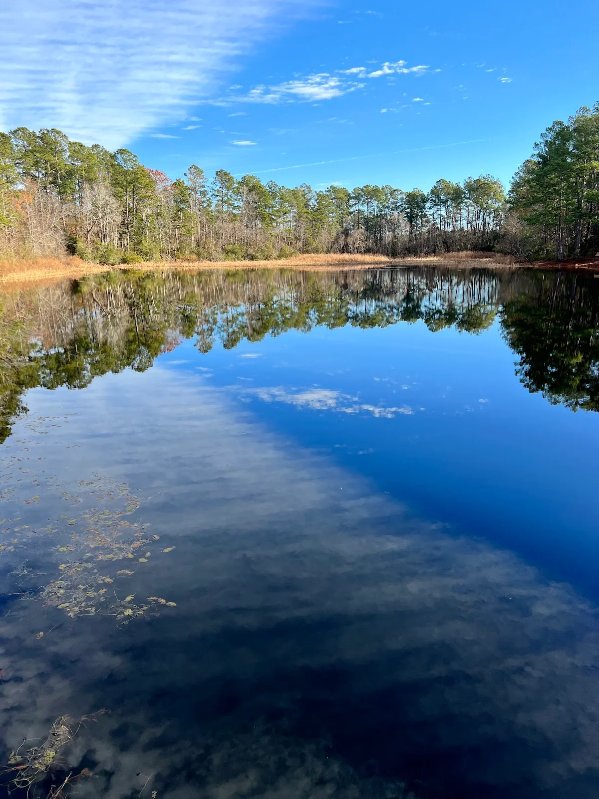Cox Ferry Lake Recreation Area in Conway - Ask AI | mindtrip