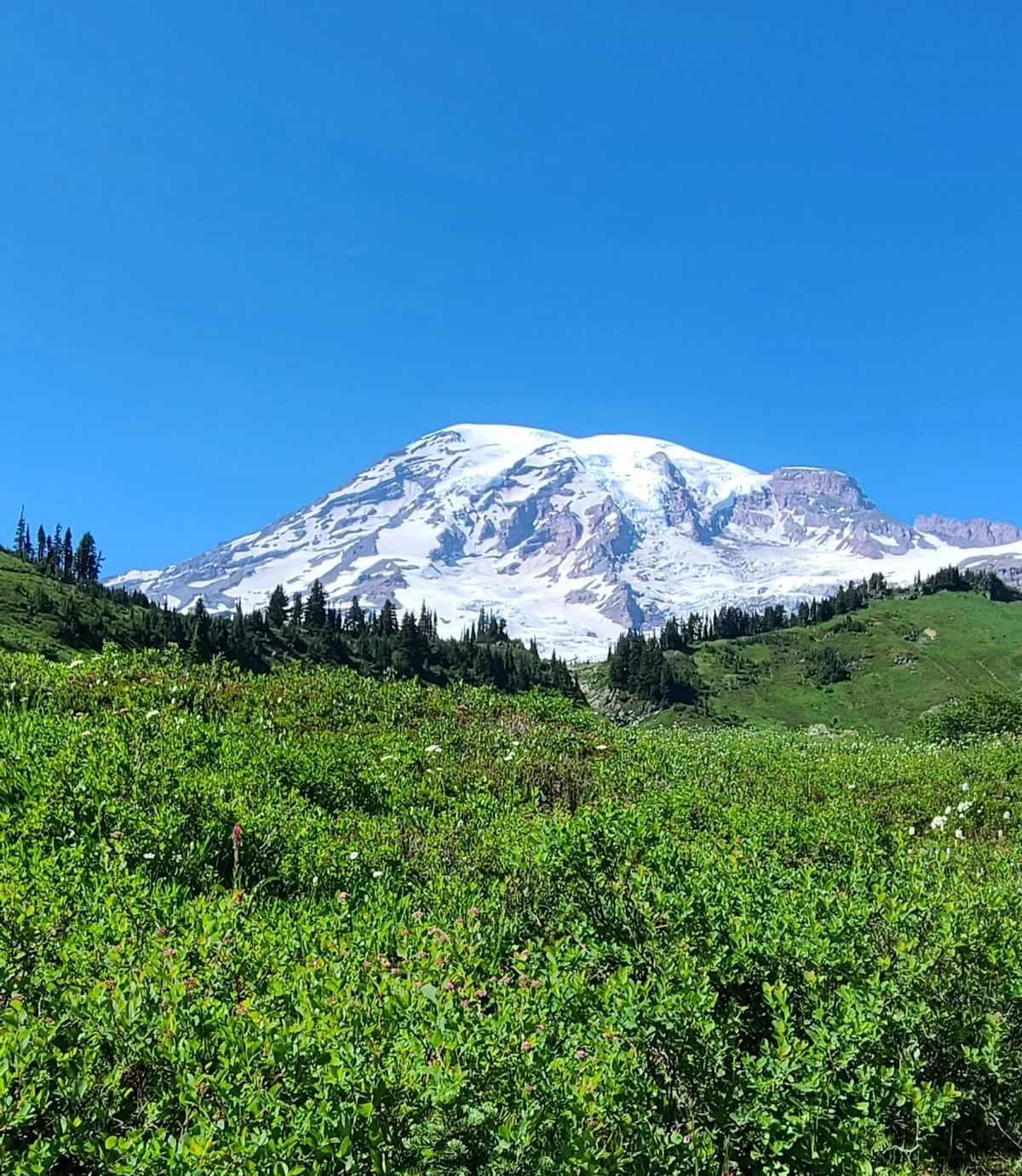 Ricksecker Point in Longmire, Washington - Ask AI | mindtrip