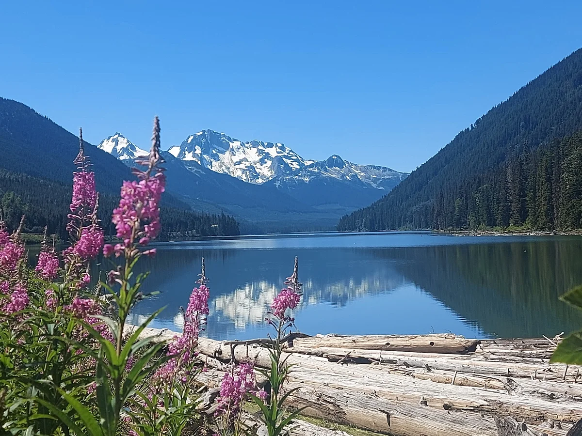 Duffey Lake Provincial Park in D'Arcy | Ask Anything