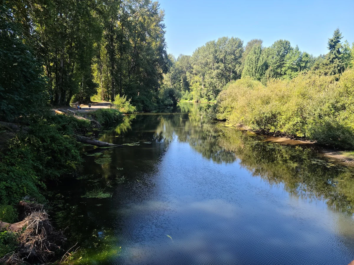 The Park at Bothell Landing | What to Know Before You Go