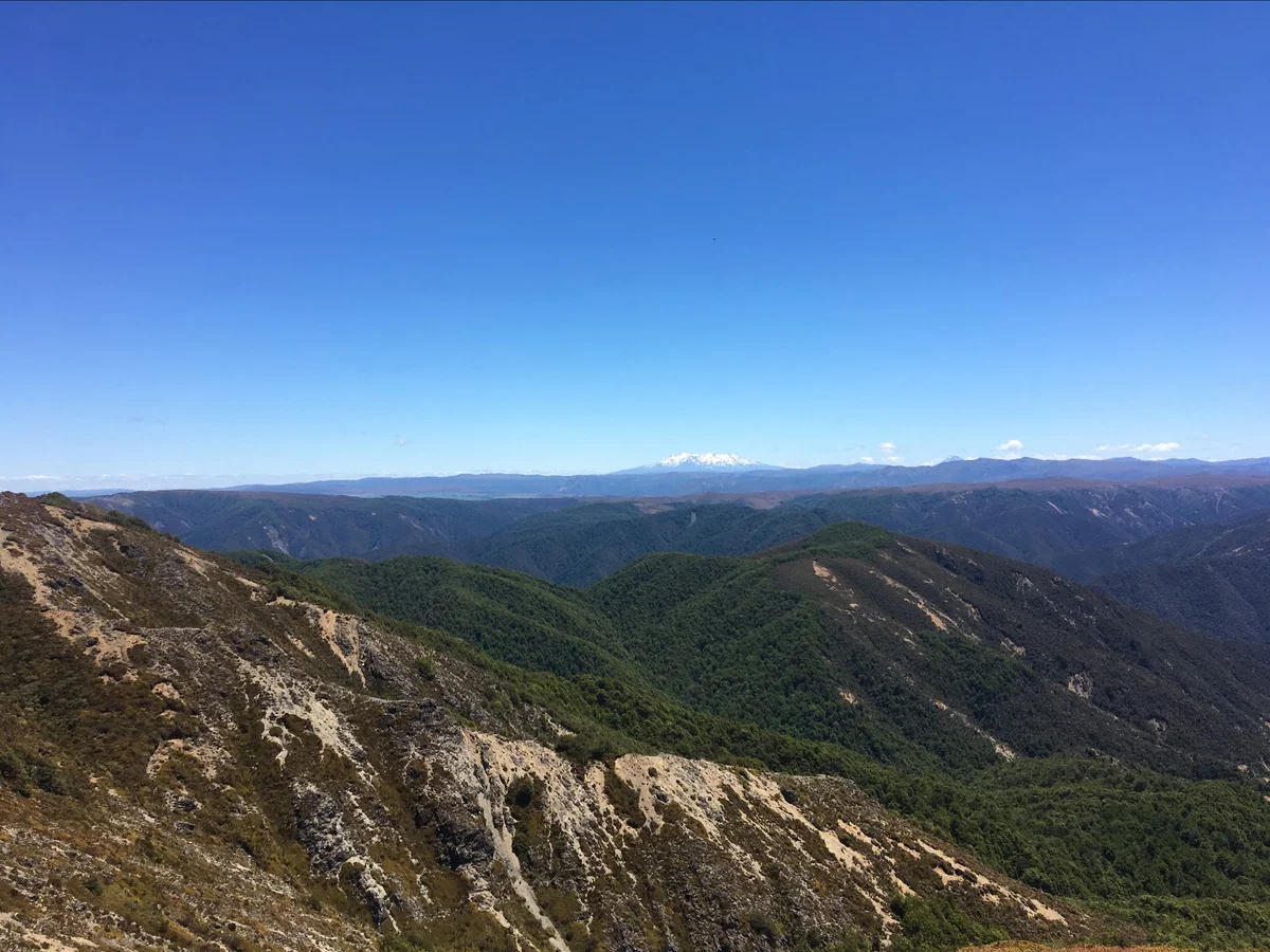 Kaweka Forest Park in Puketitiri - Ask AI | mindtrip
