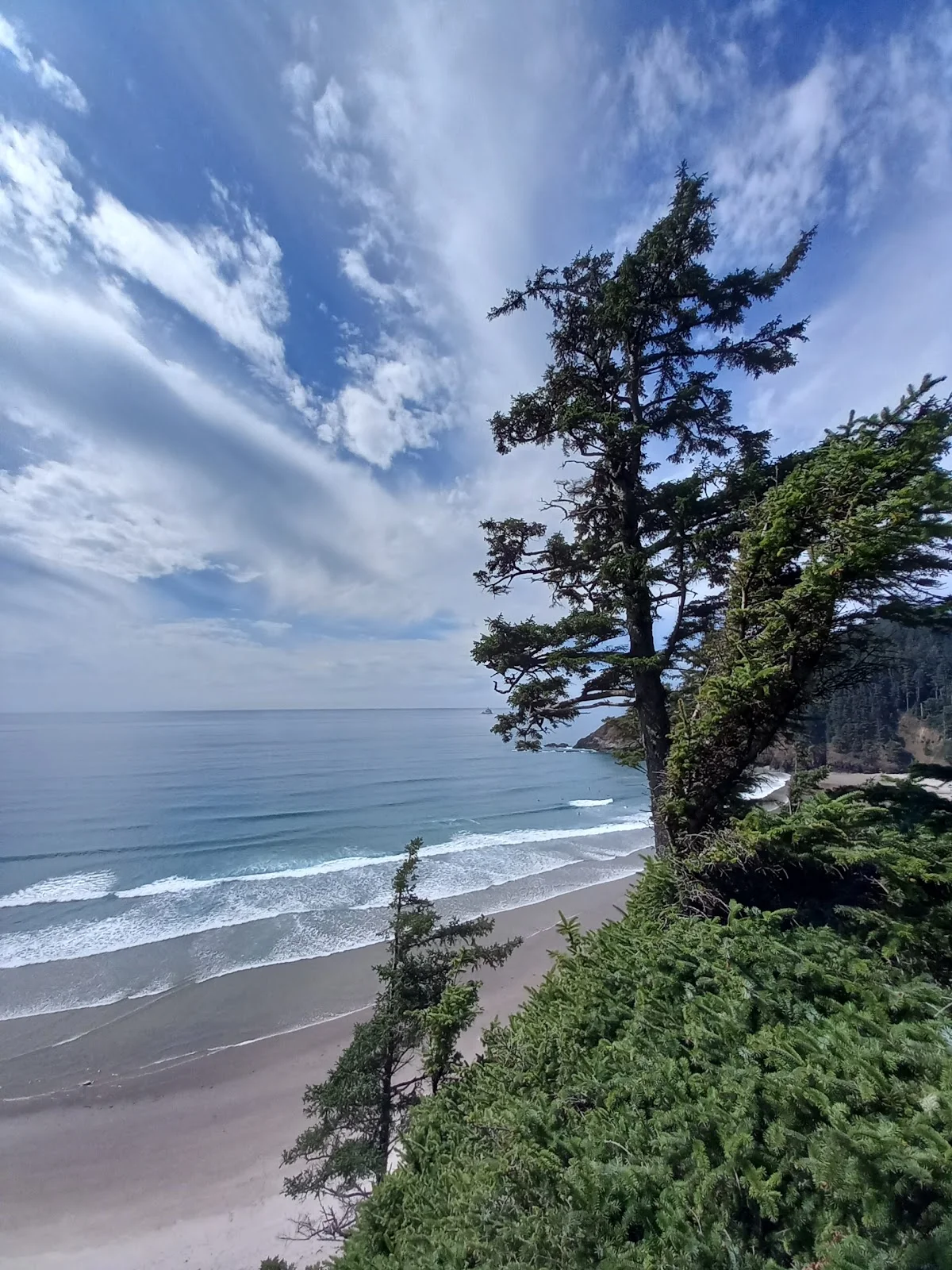 Ecola State Park Parking | What to Know Before You Go