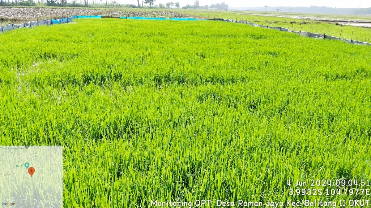 BK 21 Raman Jaya in Sumatera Selatan - Ask AI | mindtrip