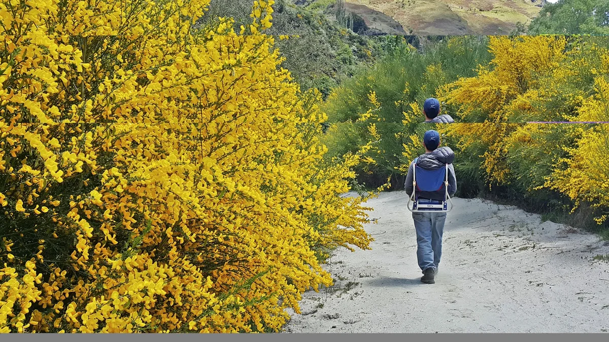 Moonlight Track in Queenstown, Otago - Ask AI | mindtrip