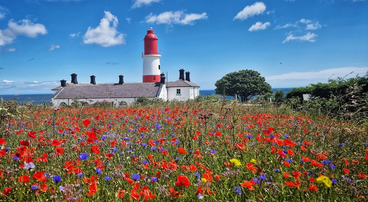 National Trust - Souter Lighthouse and The Leas