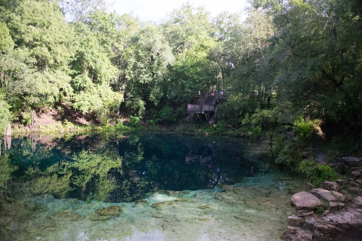 Royal Springs in Mayo, Florida | What to Know Before You Go