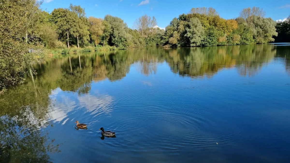 ryton-pools-country-park-in-bubbenhall-ask-anything