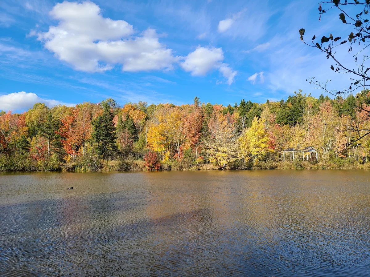 Mapleton Park in Moncton | What to Know Before You Go
