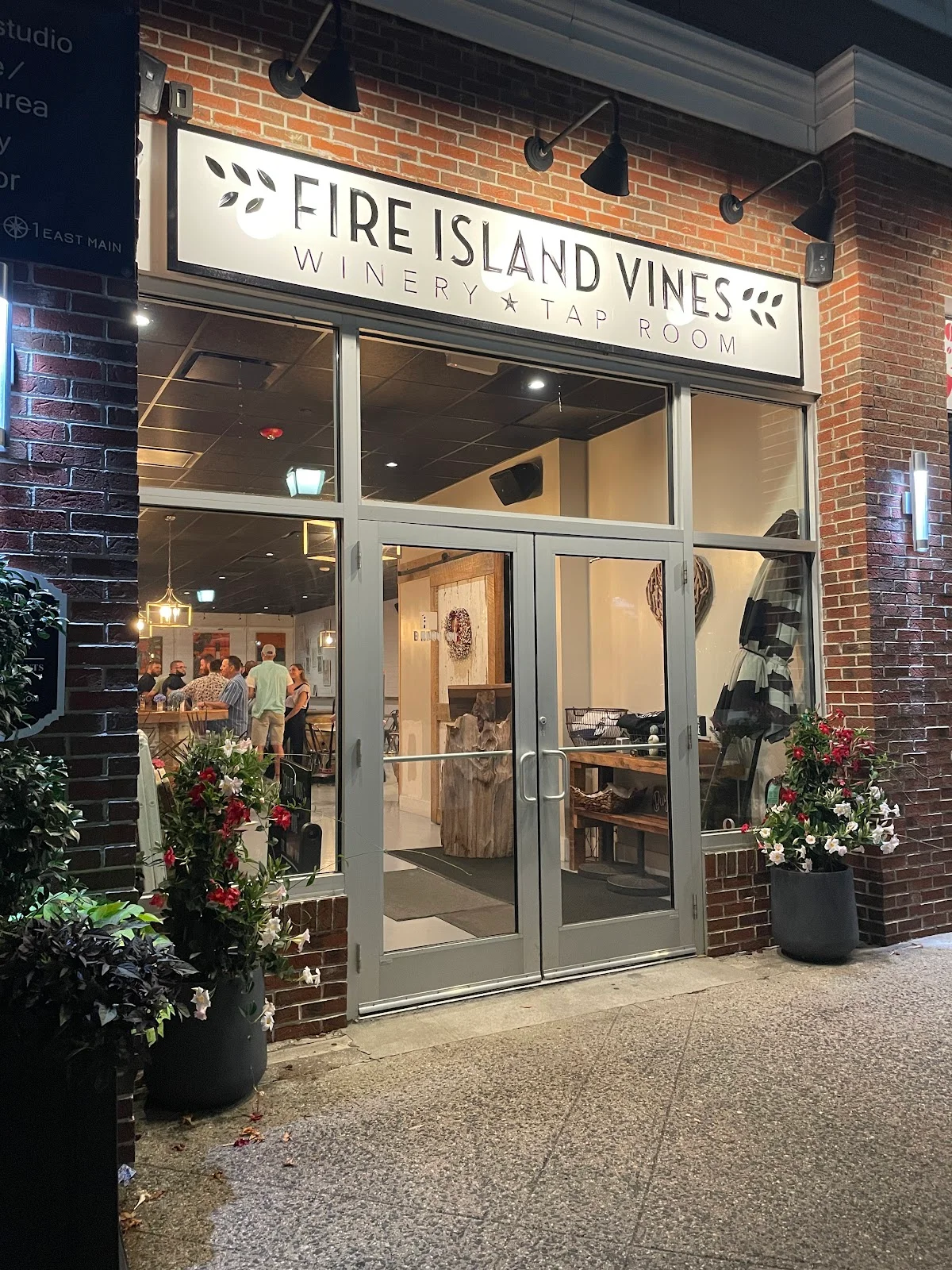 FIV Fire Island Vines | What to Know Before You Go