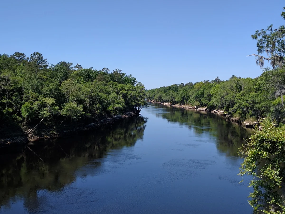 Twin Rivers State Forest in Lee | What to Know Before You Go