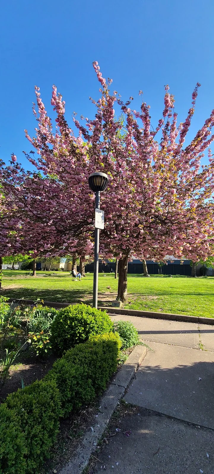 Pershing Field Park in Jersey City - Ask AI | mindtrip
