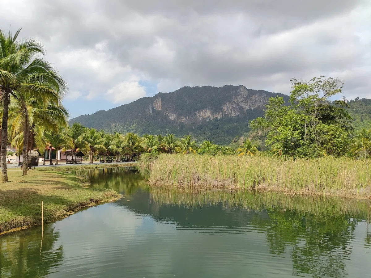 Perlis Vineyard in Beseri, Perlis - Ask AI | mindtrip