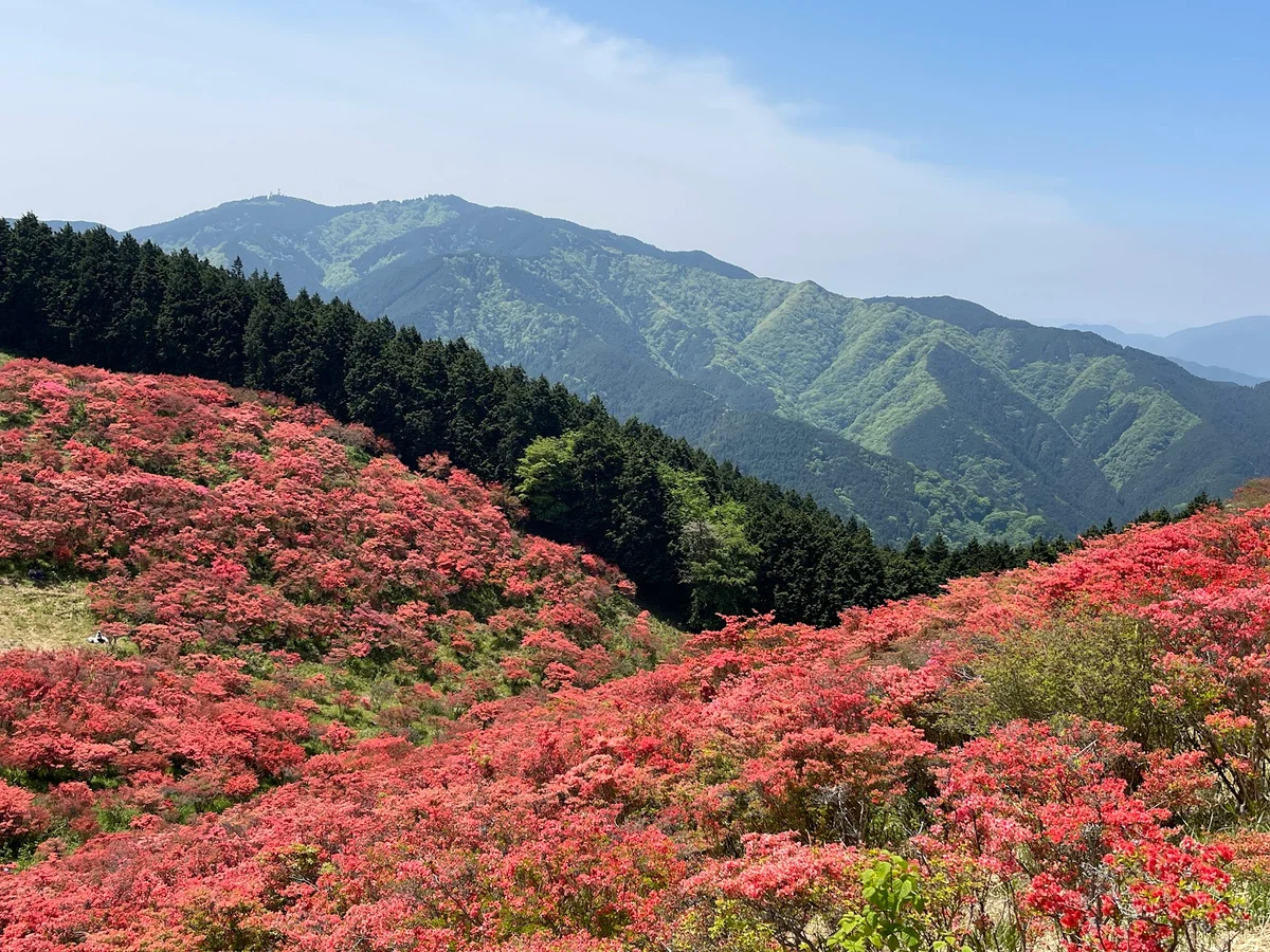 Katsuragi Ropeway in Gose, Nara - Ask AI | mindtrip