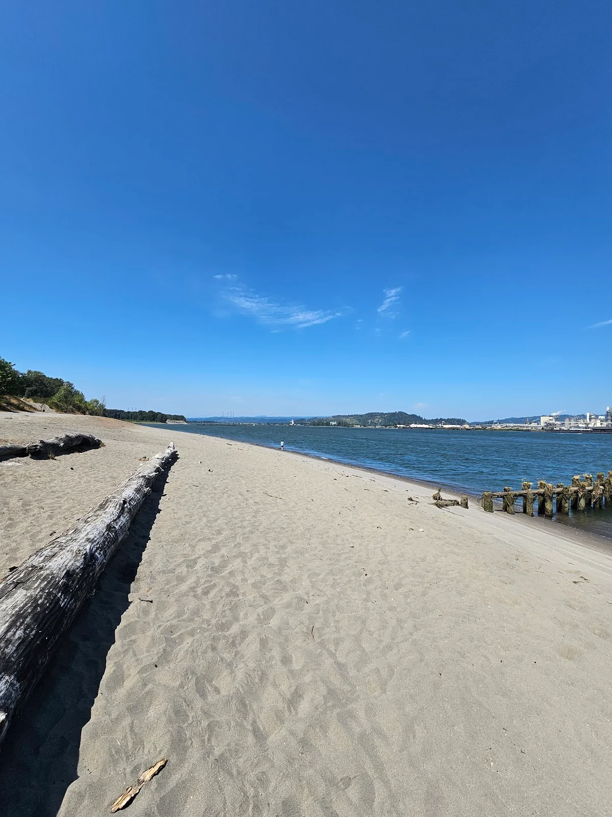 Dibblees Beach in Rainier, Oregon - Ask AI | mindtrip