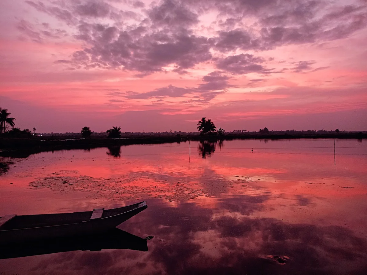Kharibari (খড়িবাড়ি) in Barasat - Ask AI | mindtrip