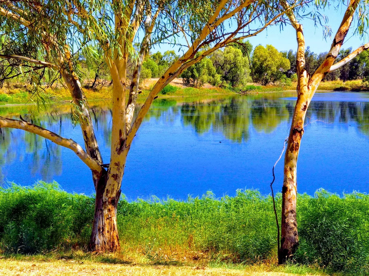 Roma Bush Gardens in Roma | What to Know Before You Go