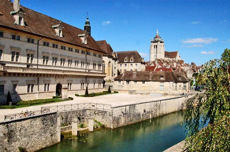 Dole Hôtel-Dieu Public Library in Dole | Ask Anything