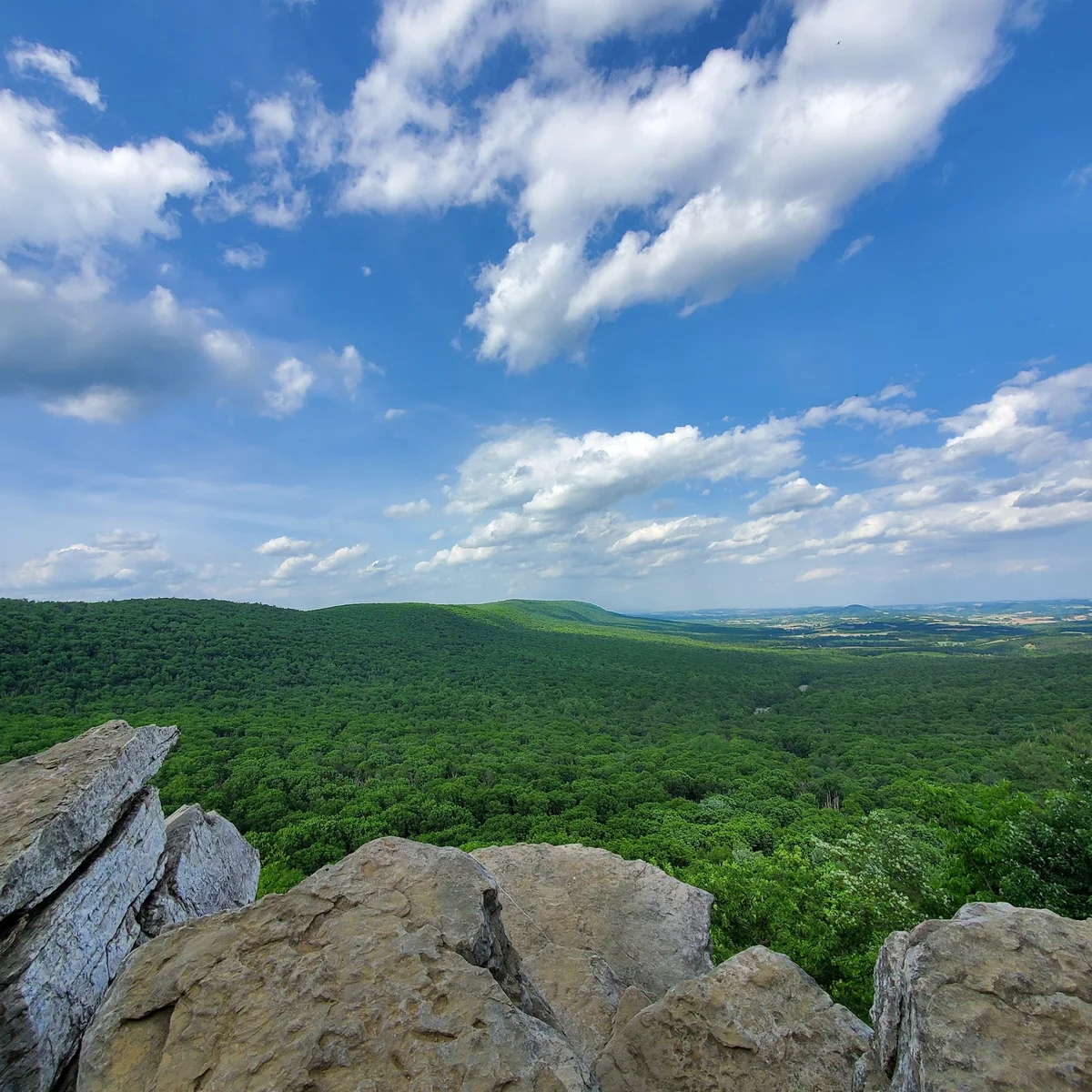 Hawk Mountain, South Lookout in Kempton - Ask AI | mindtrip