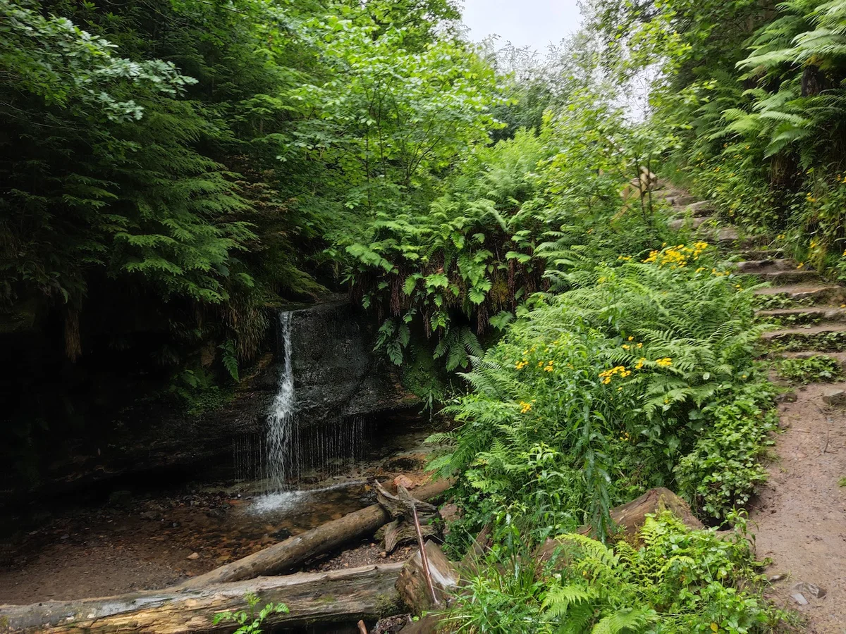 Maspie Den Walk & Waterfall in Falkland - Ask AI | mindtrip