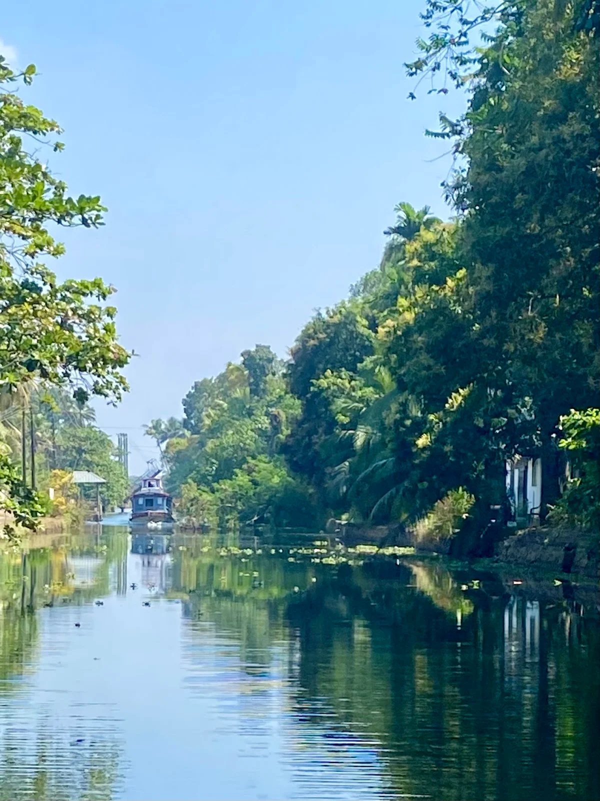 Backwater Boat Tour in Chempu | What to Know Before You Go