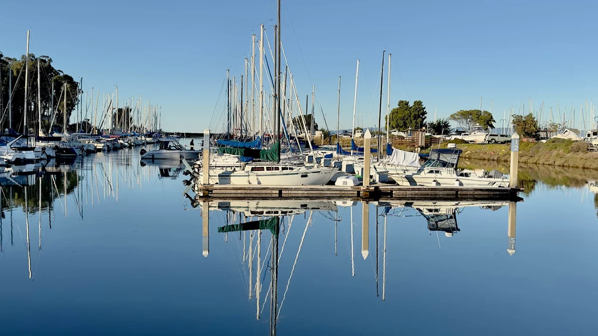 Coyote Point Recreation Area in San Mateo | Ask Anything