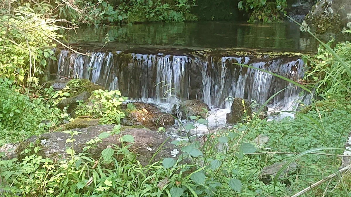 Arakura spring water in Hayakawa-cho - Ask AI | mindtrip